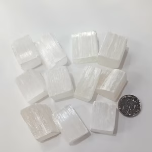 Selenita Tacos en Bruto x 100 g